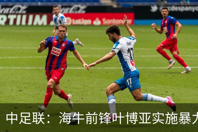 中足联：海牛前锋叶博亚实施暴力行为 停赛4场罚款4万